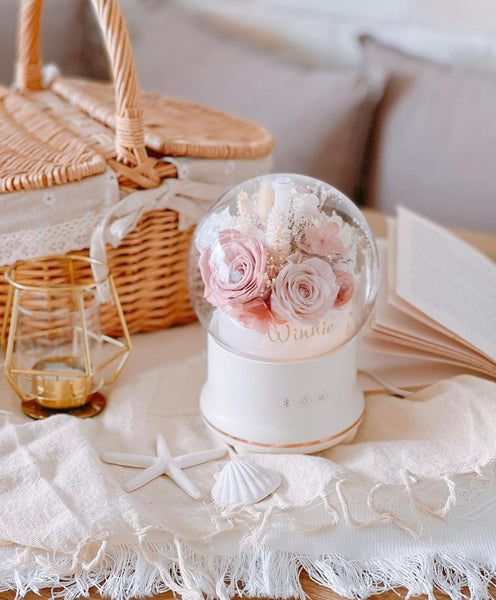 HH01 - 3 in 1 Aroma Diffuser/Humidifier